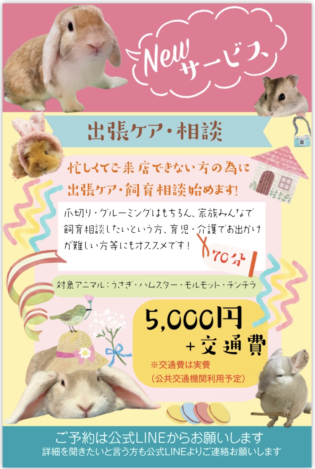 出張ケア・相談」はじめました！ | うさカフェりび -鹿児島のうさぎ