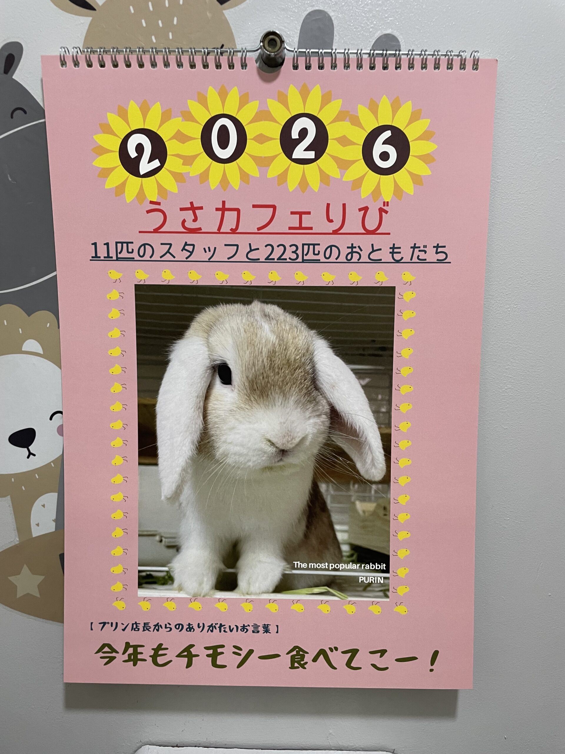2026年「うさカフェりびカレンダー」販売中！ | うさカフェりび